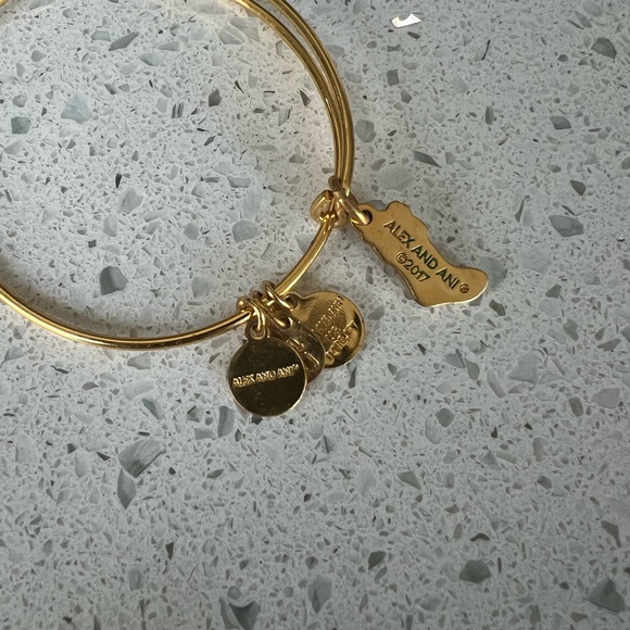 Alex and Ani bracelet - Picture 2 of 3